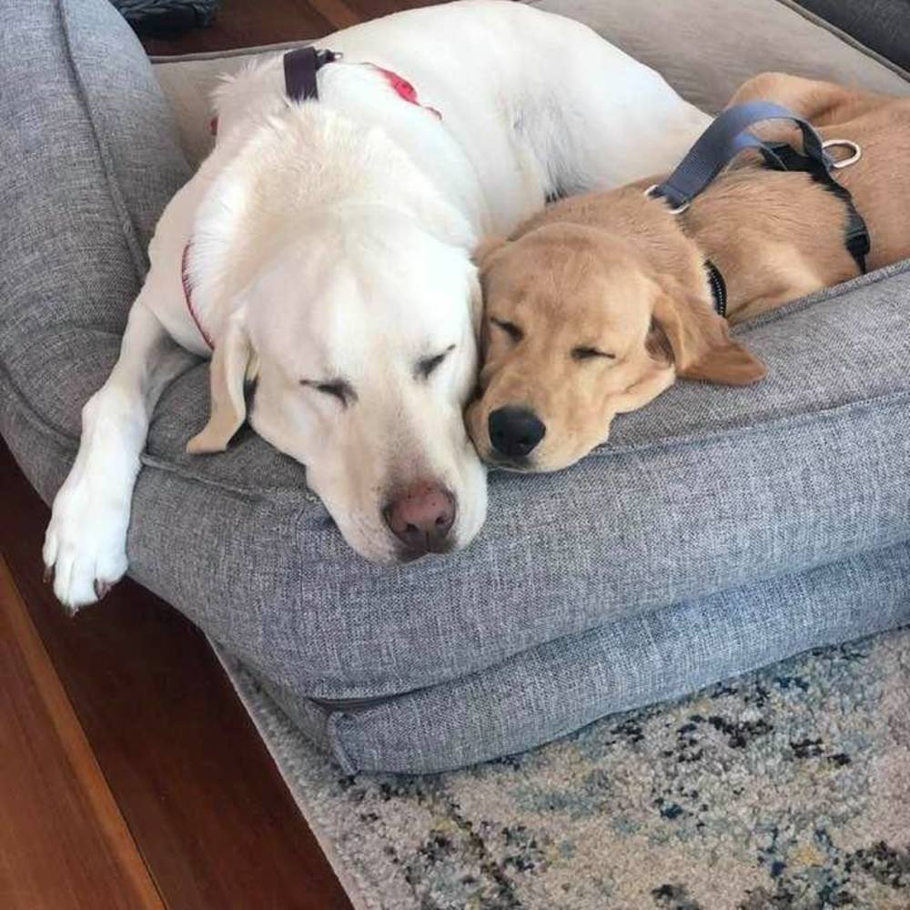 Meet your Posher, Keri